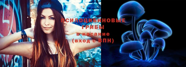 таблы Богородицк