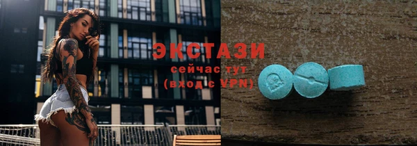 таблы Богородицк