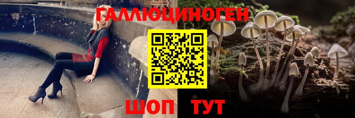 Псилоцибиновые грибы ЛСД Среднеуральск